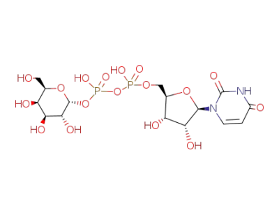 uridine 5'-diphospho-D-galactose